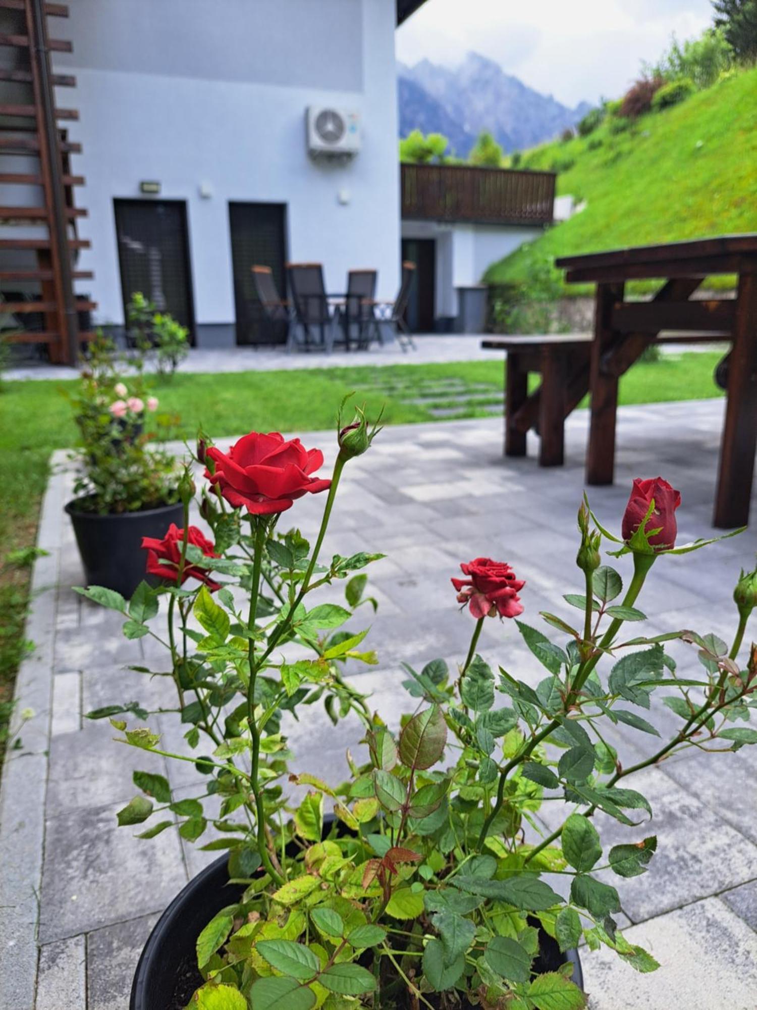 Reset Apartments Кранська Гора Екстер'єр фото